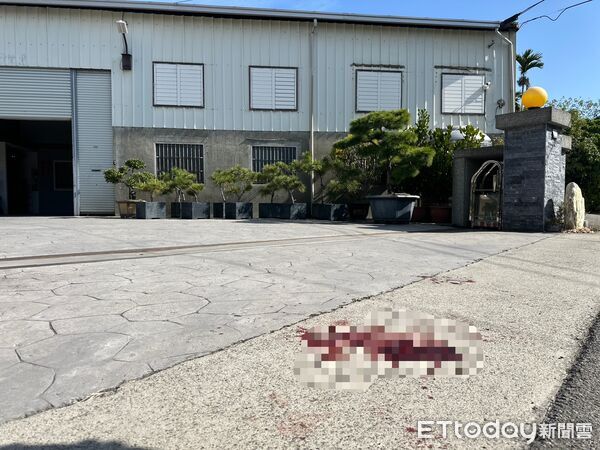 土風舞女師被割頸爆血！2度求救借手機...打給兒子喊：媽快死了