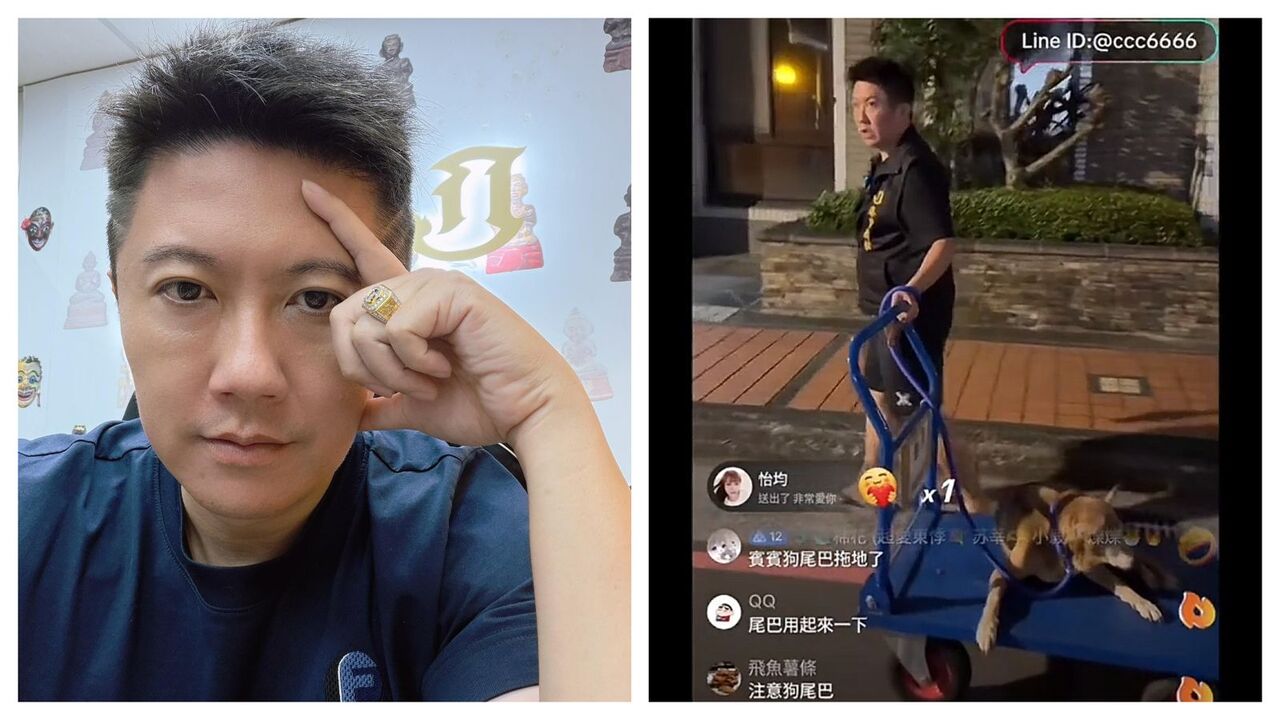 賓賓哥又搞事了! 直播救狗「1個月後」突喊走丟不養了