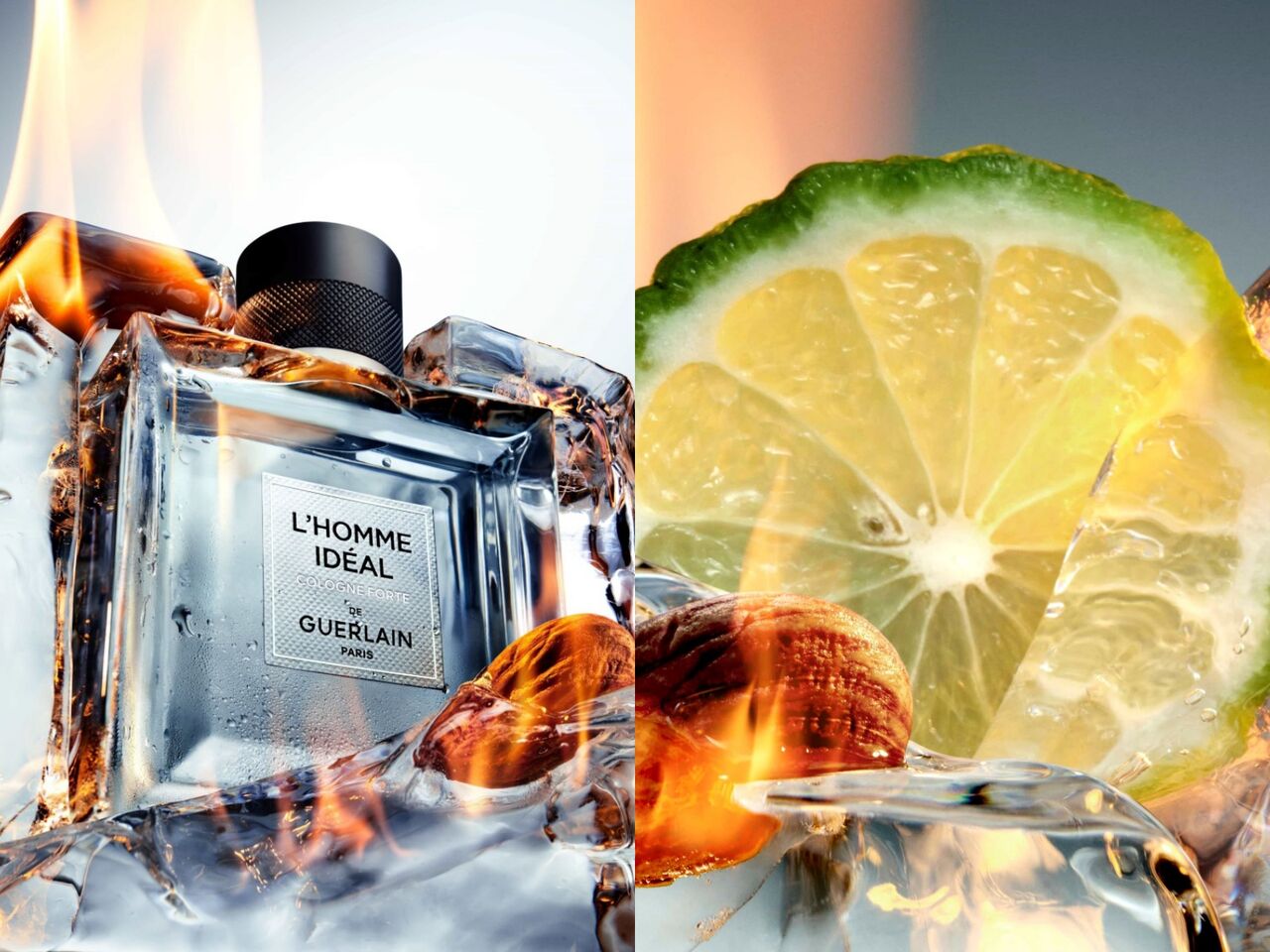 嬌蘭,Acqua di Parma,SHARECO,香水,香氛,招財。（圖／品牌提供）