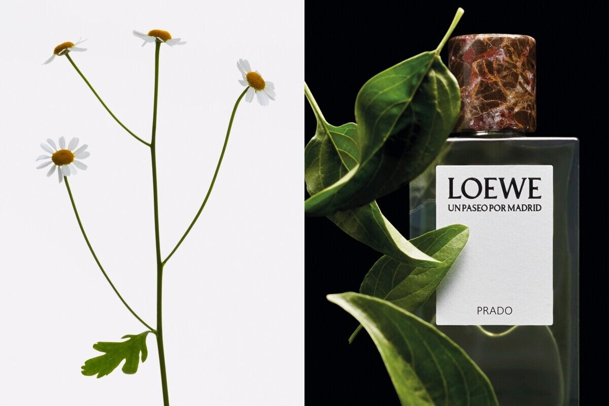 ▲香水    。（圖／翻攝官網）