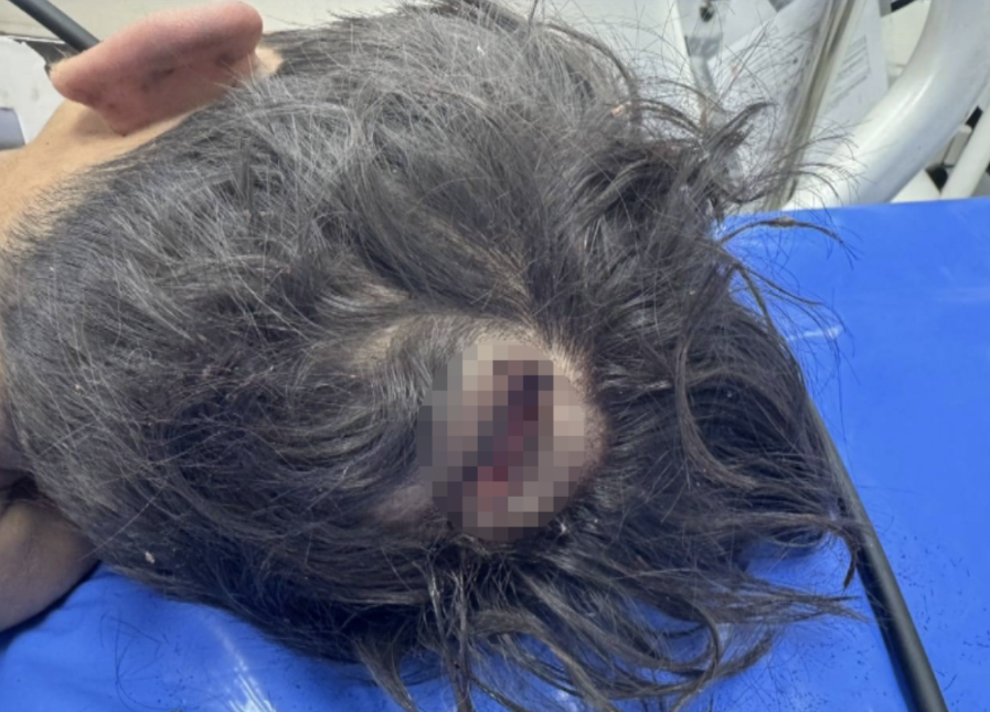 ▲▼泰男童遭「阿嬤31歲小男友」凌虐丟包深山。（圖／翻攝自Khaosod）