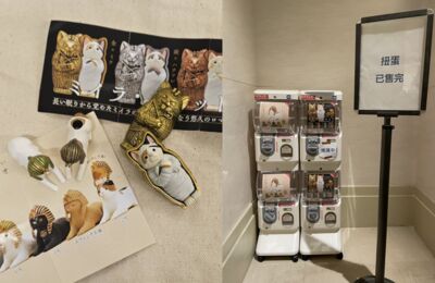 獨／奇美埃及展首日「法老貓扭蛋」中午就搶光