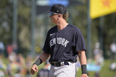 洋基戰力升級卻埋隱憂？