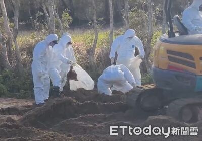 台中病死雞棄苗栗「17天空窗期」　陳品安批：苗栗不是別人的垃圾場