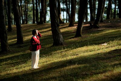 愈走愈療癒！年假收心靠「這場散步」：心理師揭開開學開工秘訣