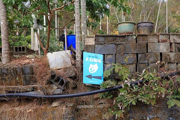 ▲▼南投老宅改造清水模景觀咖啡廳。（圖／部落客萍子提供）