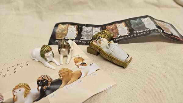 ▲▼奇美博物館法老貓扭蛋。（圖／讀者授權提供，請勿翻攝，以免侵權）