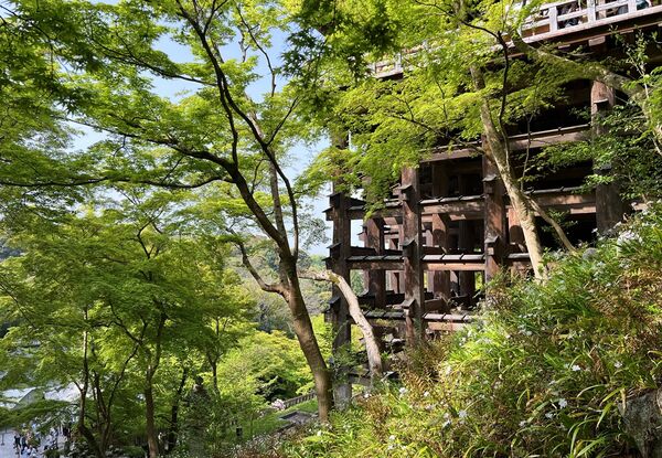 ▲▼自由行必安排京都世界遺產。（圖／部落客cj夫人提供）
