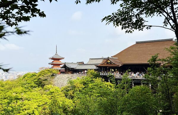 ▲▼自由行必安排京都世界遺產。（圖／部落客cj夫人提供）