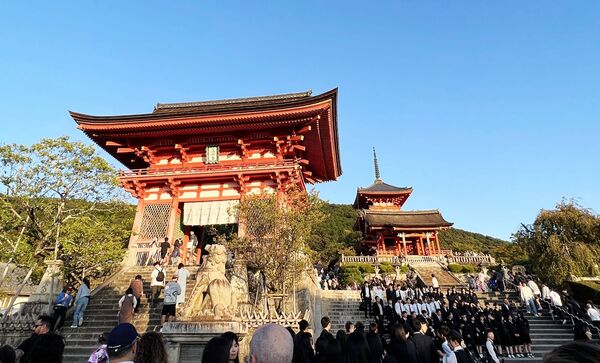 ▲▼自由行必安排京都世界遺產。（圖／部落客cj夫人提供）