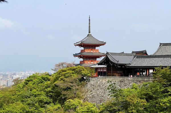 ▲▼自由行必安排京都世界遺產。（圖／部落客cj夫人提供）