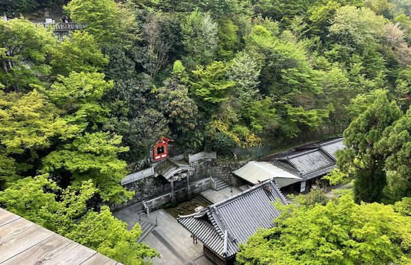 ▲▼自由行必安排京都世界遺產。（圖／部落客cj夫人提供）