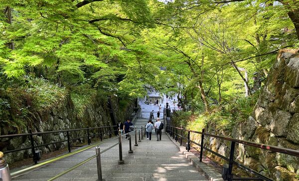 ▲▼自由行必安排京都世界遺產。（圖／部落客cj夫人提供）