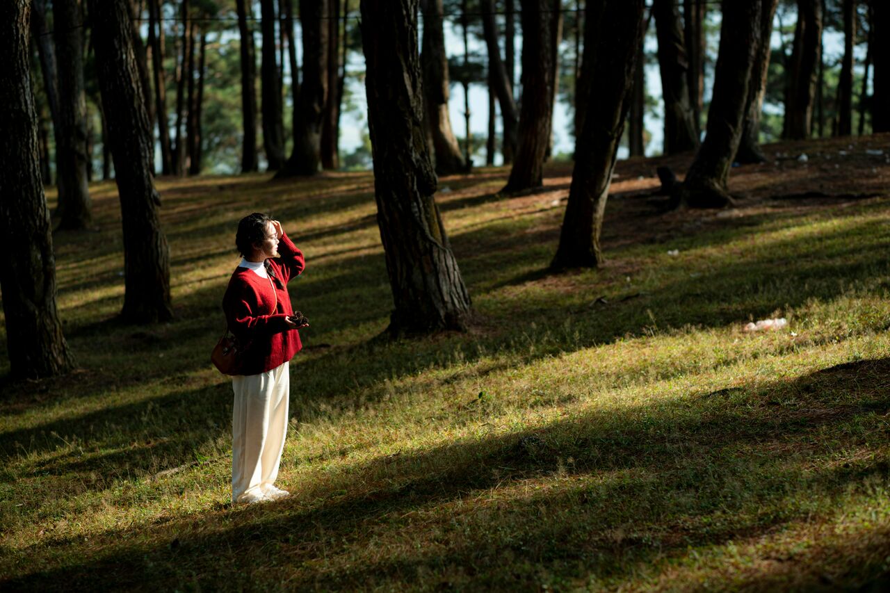 愈走愈療癒!年假收心靠「這場散步」:心理師揭開開學開工秘訣