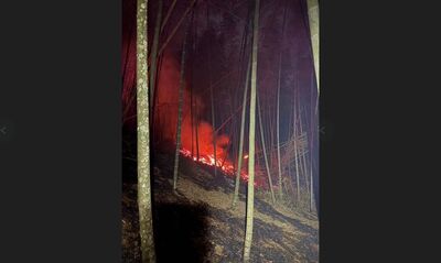 雲林九芎神木旁山林火警！火線長達400米　消防灌救10hr撲滅