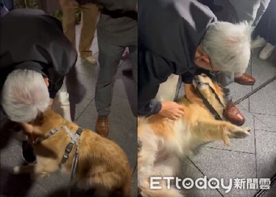 阿金散步「巧遇黃仁勳」　主動翻肚賣萌討摸還偷親人家