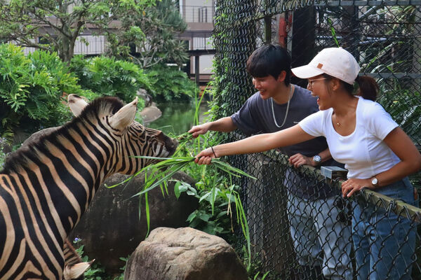 ▲關西六福莊推出馬的優惠。（圖／業者提供）