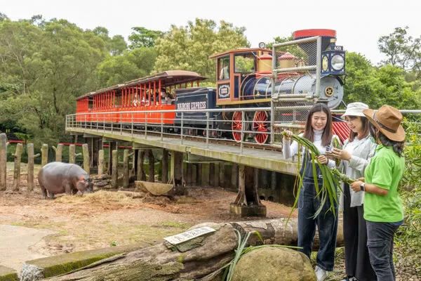 ▲關西六福莊推出馬的優惠。（圖／業者提供）