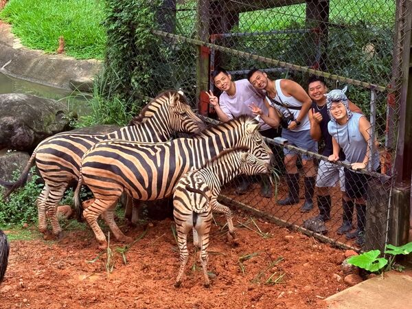 ▲關西六福莊推出馬的優惠。（圖／業者提供）