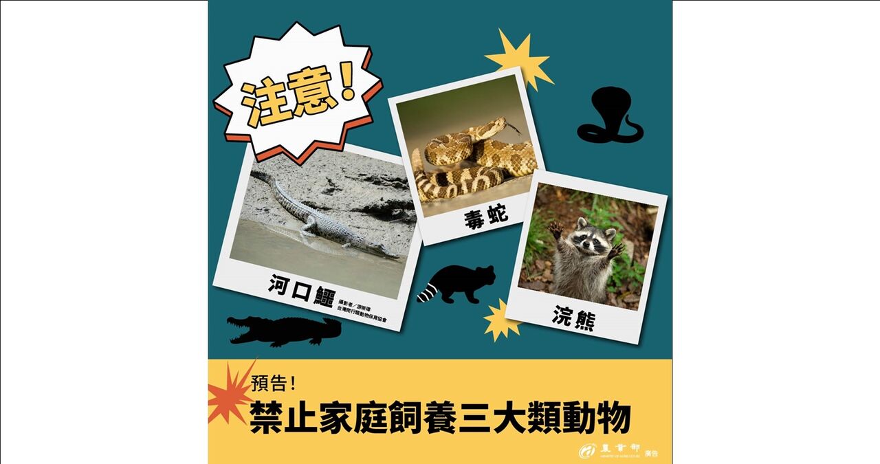 特寵禁養2/名單縮減至641種!農業部急滅火:現有飼主可養到終老