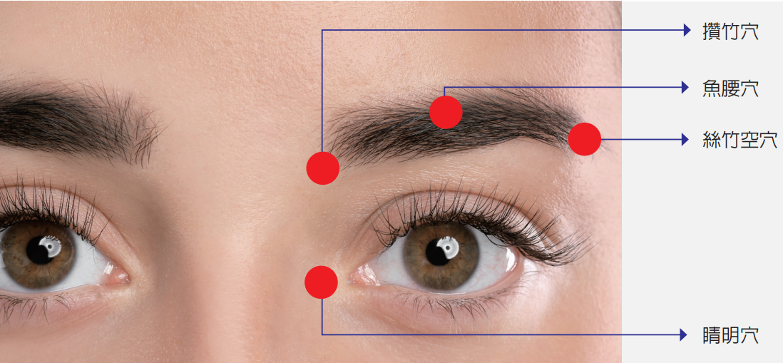 ▲▼      穴位       。（圖／恩主公醫院提供）
