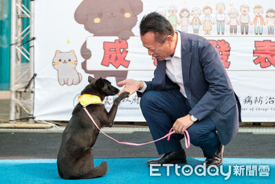 嘉義首創「浪浪就業服務站」　流浪犬化身療癒犬、護衛犬