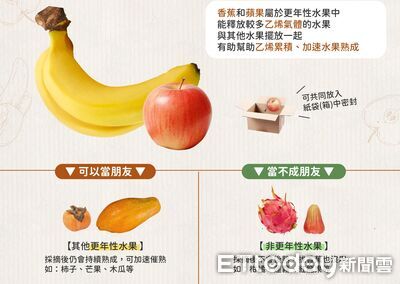 蘋果、香蕉是催熟神器　農業部：5種水果採收後無法熟成