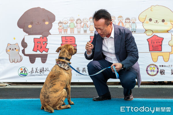 ▲▼  嘉義縣獨創「浪浪就業服務站」　讓浪浪成為夥伴不再流浪  。（圖／嘉義縣政府提供）