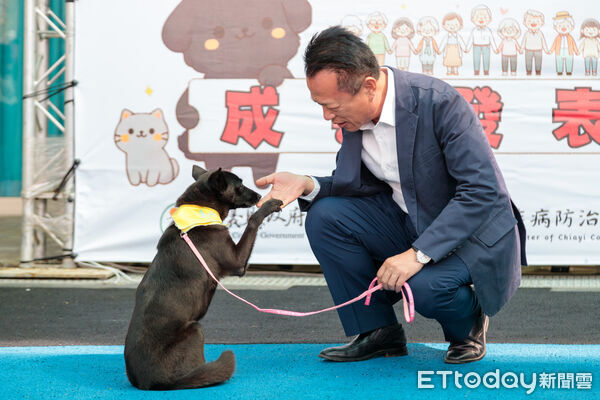 ▲▼  嘉義縣獨創「浪浪就業服務站」　讓浪浪成為夥伴不再流浪  。（圖／嘉義縣政府提供）