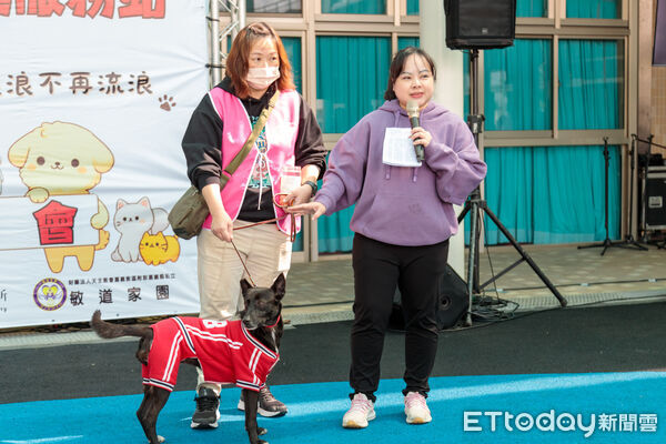 ▲▼  嘉義縣獨創「浪浪就業服務站」　讓浪浪成為夥伴不再流浪  。（圖／嘉義縣政府提供）