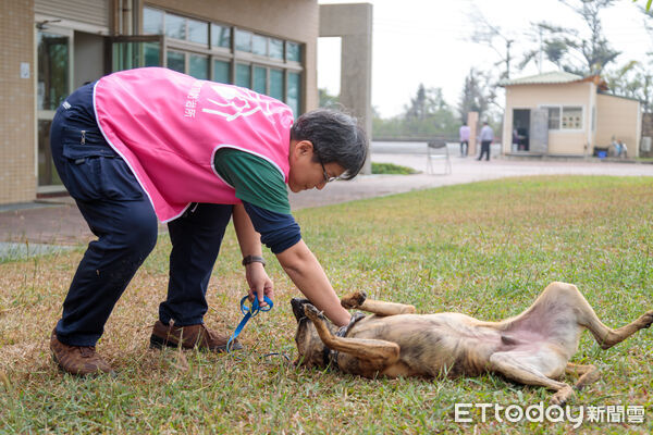 ▲▼  嘉義縣獨創「浪浪就業服務站」　讓浪浪成為夥伴不再流浪  。（圖／嘉義縣政府提供）
