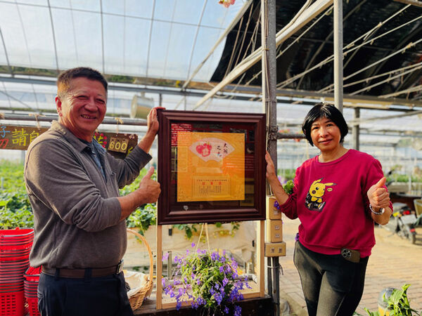 ▲苗栗大湖10家草莓園。（圖／大湖旅遊網提供））