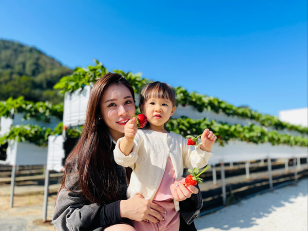 ▲苗栗大湖10家草莓園。（圖／大湖旅遊網提供））