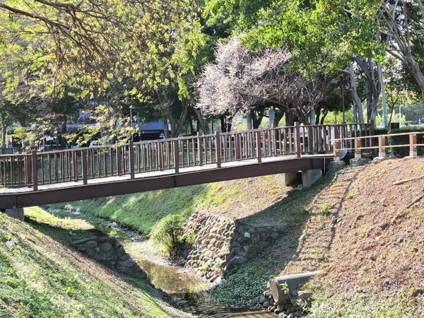 ▲北投區「奇岩4號綠地」園內逾30株梅花，近日陸續綻放。（圖／公園處提供）