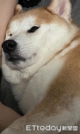 ▲。（圖／Threads@hawado_hsu提供，請勿隨意翻拍，以免侵權。）