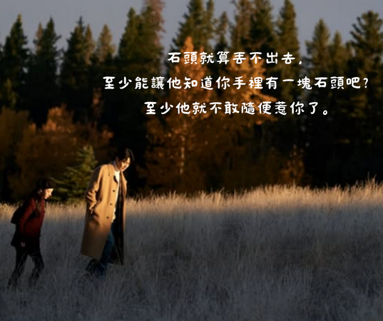 ▲▼愛情怎麼翻譯？。（圖／翻攝自Instagram／netflixtw）