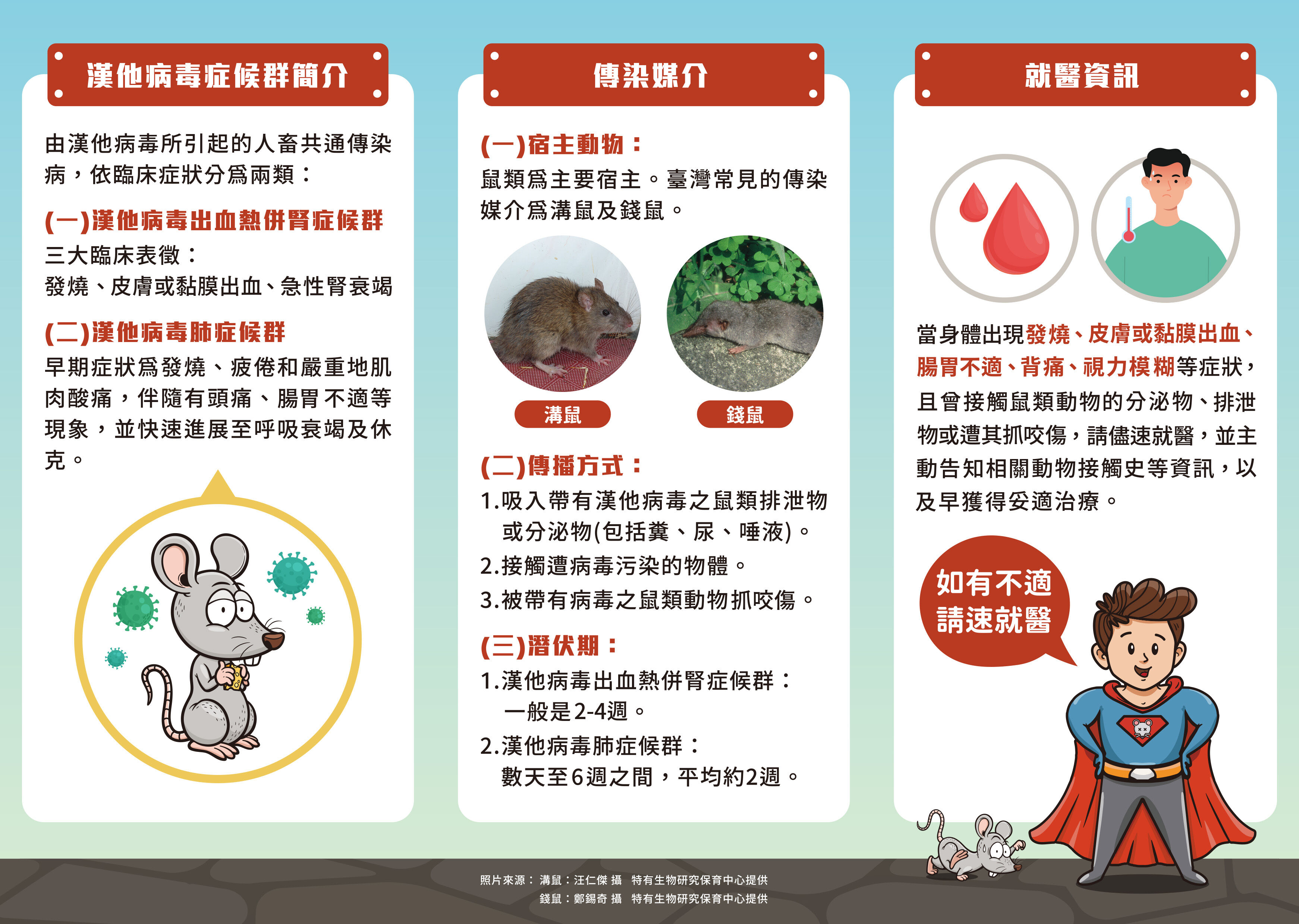 ▲▼漢他病毒衛教。（圖／疾管署提供）