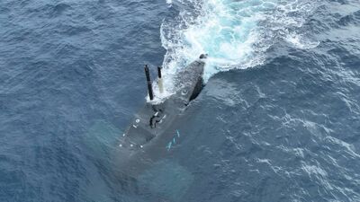 海鯤號連2天出港潛航測試！　吳釗燮釋空拍圖