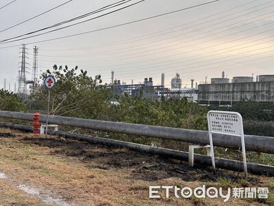 快訊／高雄男「抓綠鬣蜥」慘觸電！身體燒傷送醫　現場慘況曝光
