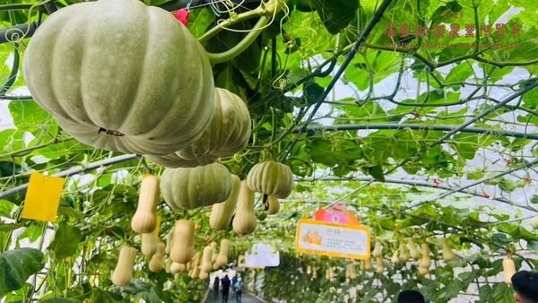 ▲▼屏東熱博。（圖／翻攝自屏東農好臉書專頁）