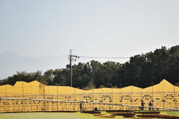 ▲▼屏東熱博。（圖／翻攝自屏東農好臉書專頁）