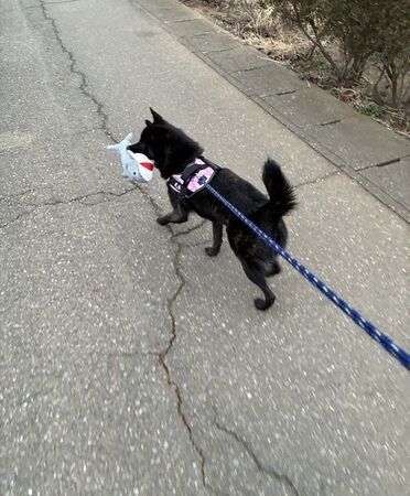 ▲。（圖／翻攝自X／@_ukai_）