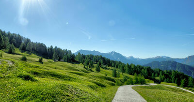 12生肖本周運勢曝！第1名事業、財運、愛情都旺翻