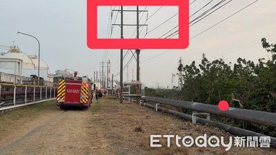 高雄男抓綠鬣蜥觸電送醫！4大企業停電5hrs　台電保留追訴權