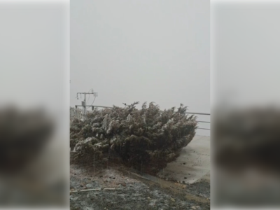 快訊／玉山下雪了！　氣象站17：20起白雪紛飛畫面曝光