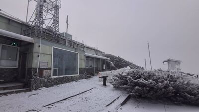 快訊／一片銀白！　玉山今早又下雪