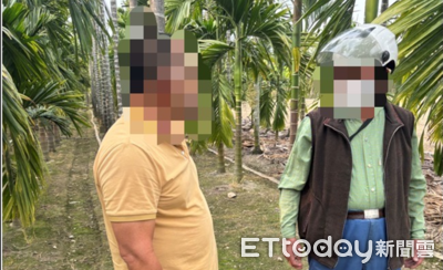 牛隻誤闖檳榔園毀樹　內埔警積極協調促成和解