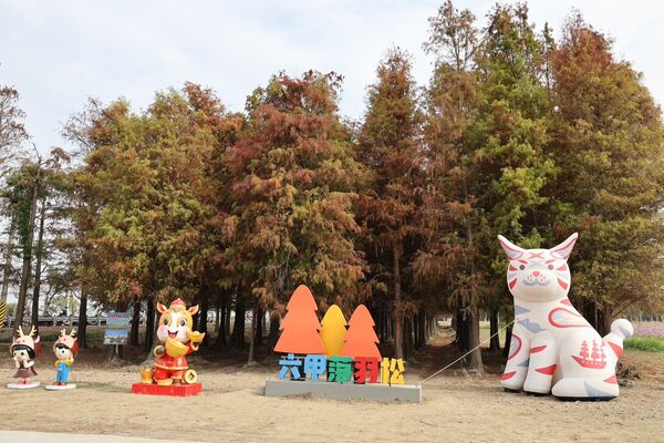 ▲▼台南六甲落羽松。（圖／台南市政府提供）