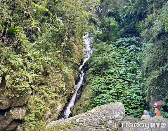 ▲烏來信賢步道,昇龍瀑布,烏來旅遊。（圖／記者彭懷玉攝）