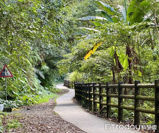 ▲烏來信賢步道,昇龍瀑布,烏來旅遊。（圖／記者彭懷玉攝）
